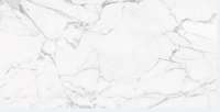 Керамогранит 1200х600 Marble Trend K-1000/LR Carrara Белый  (1.44м2)    - фото 1